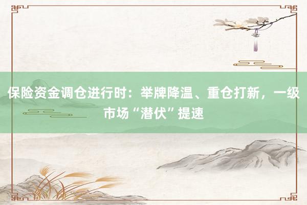 保险资金调仓进行时：举牌降温、重仓打新，一级市场“潜伏”提速