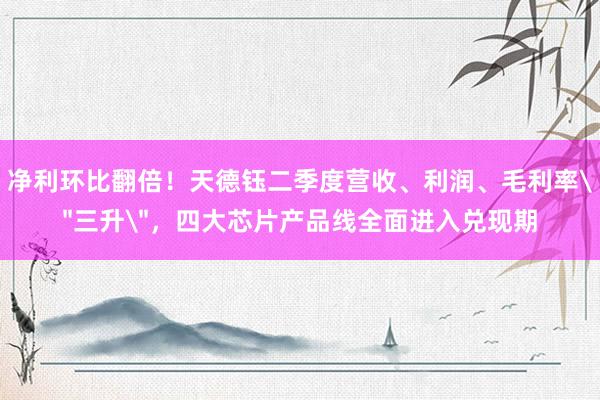 净利环比翻倍！天德钰二季度营收、利润、毛利率＂三升＂，四大芯片产品线全面进入兑现期