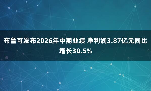 布鲁可发布2026年中期业绩 净利润3.87亿元同比增长30.5%