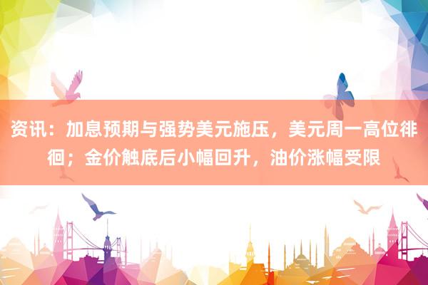 资讯：加息预期与强势美元施压，美元周一高位徘徊；金价触底后小幅回升，油价涨幅受限