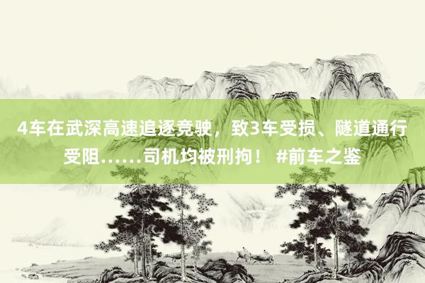 4车在武深高速追逐竞驶，致3车受损、隧道通行受阻……司机均被刑拘！ #前车之鉴