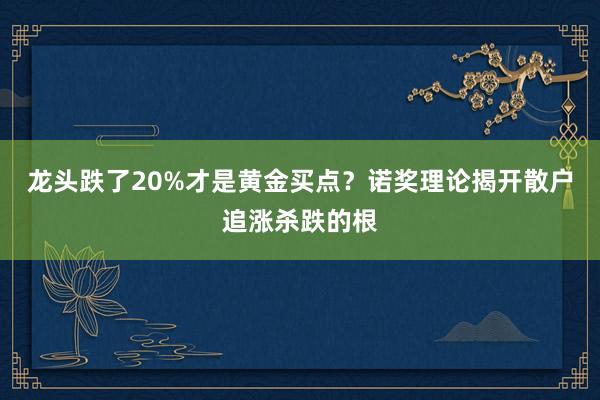 龙头跌了20%才是黄金买点？诺奖理论揭开散户追涨杀跌的根