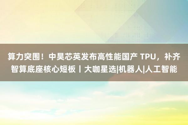 算力突围！中昊芯英发布高性能国产 TPU，补齐智算底座核心短板丨大咖星选|机器人|人工智能