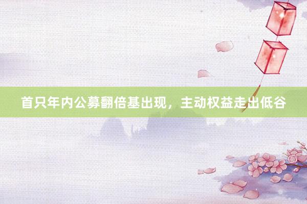 首只年内公募翻倍基出现，主动权益走出低谷