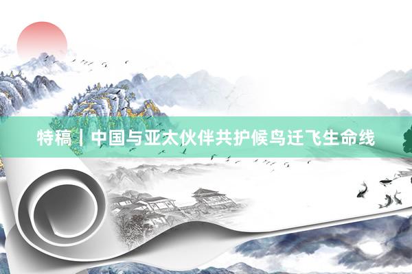 特稿｜中国与亚太伙伴共护候鸟迁飞生命线