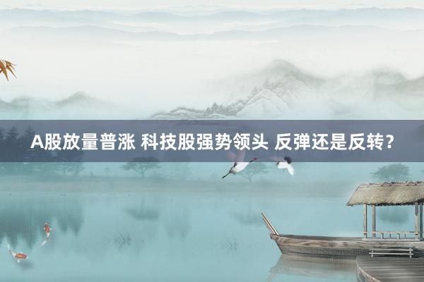 A股放量普涨 科技股强势领头 反弹还是反转？