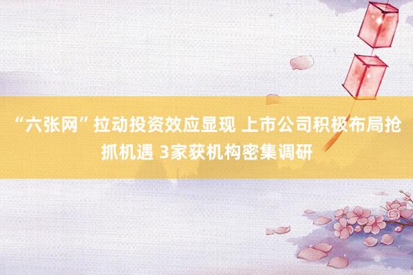 “六张网”拉动投资效应显现 上市公司积极布局抢抓机遇 3家获机构密集调研
