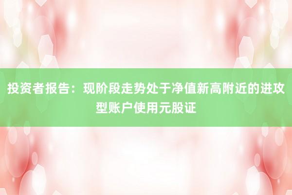 投资者报告：现阶段走势处于净值新高附近的进攻型账户使用元股证