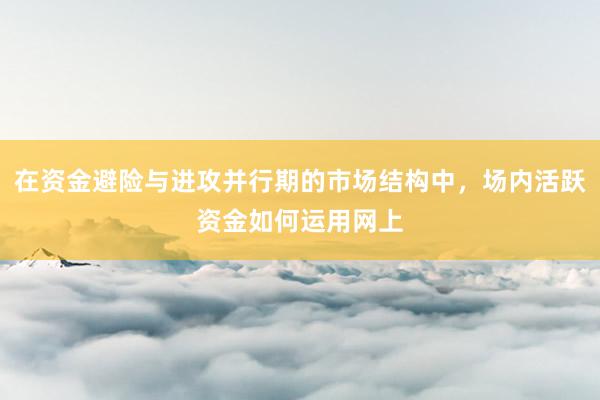 在资金避险与进攻并行期的市场结构中，场内活跃资金如何运用网上