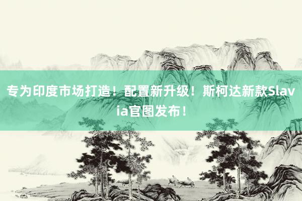 专为印度市场打造！配置新升级！斯柯达新款Slavia官图发布！