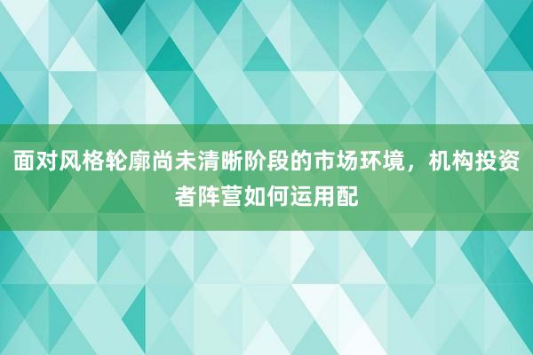 面对风格轮廓尚未清晰阶段的市场环境，机构投资者阵营如何运用配