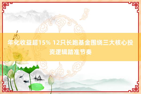 年化收益超15% 12只长跑基金围绕三大核心投资逻辑踏准节奏