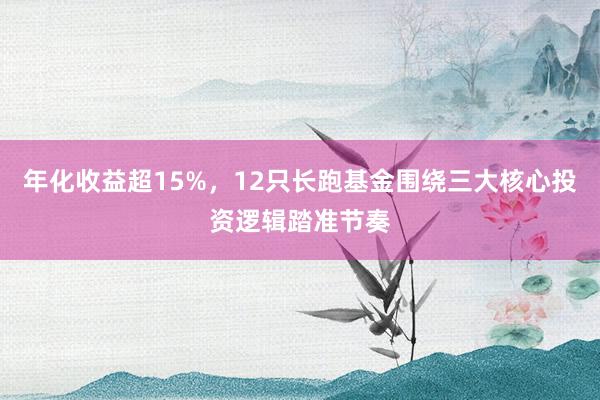 年化收益超15%，12只长跑基金围绕三大核心投资逻辑踏准节奏