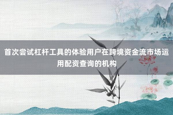 首次尝试杠杆工具的体验用户在跨境资金流市场运用配资查询的机构