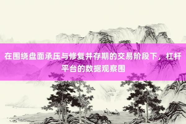 在围绕盘面承压与修复并存期的交易阶段下，杠杆平台的数据观察围