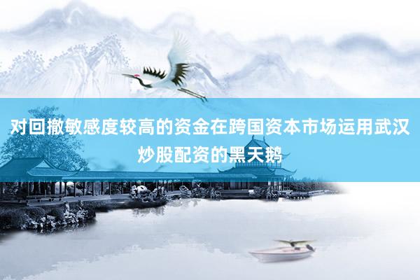 对回撤敏感度较高的资金在跨国资本市场运用武汉炒股配资的黑天鹅