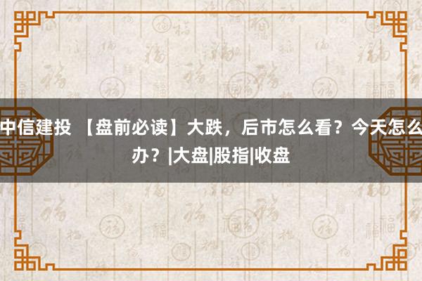 中信建投 【盘前必读】大跌，后市怎么看？今天怎么办？|大盘|股指|收盘