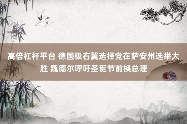 高倍杠杆平台 德国极右翼选择党在萨安州选举大胜 魏德尔呼吁圣诞节前换总理