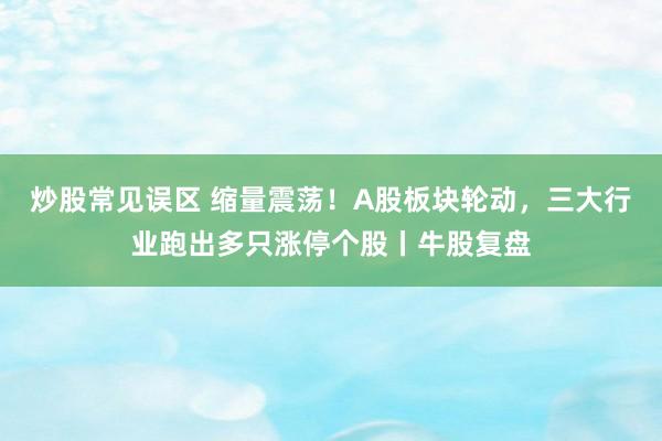 炒股常见误区 缩量震荡！A股板块轮动，三大行业跑出多只涨停个股丨牛股复盘