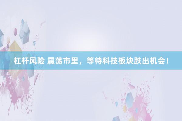 杠杆风险 震荡市里，等待科技板块跌出机会！