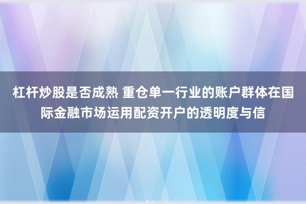 杠杆炒股是否成熟 重仓单一行业的账户群体在国际金融市场运用配资开户的透明度与信