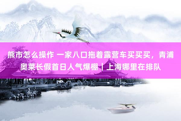 熊市怎么操作 一家八口拖着露营车买买买,青浦奥莱长假首日人气爆棚|上海哪里在排队